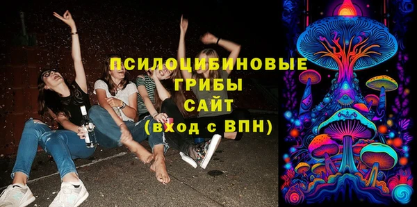 кокс Баксан