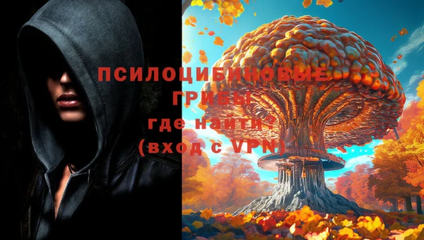 a pvp Балахна