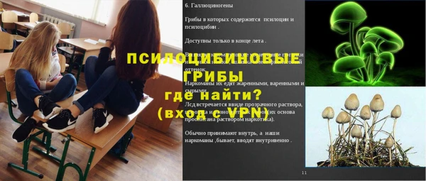 кокс Баксан